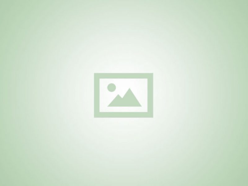 platzhalter-img-3_gruen